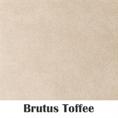Brutus Toffee Elastron
